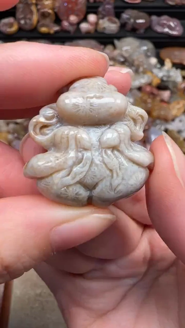 颈饰未镶嵌硅化珊瑚（珊瑚玉）318