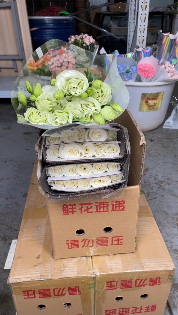 骄傲20枝+绿色洋桔梗400克