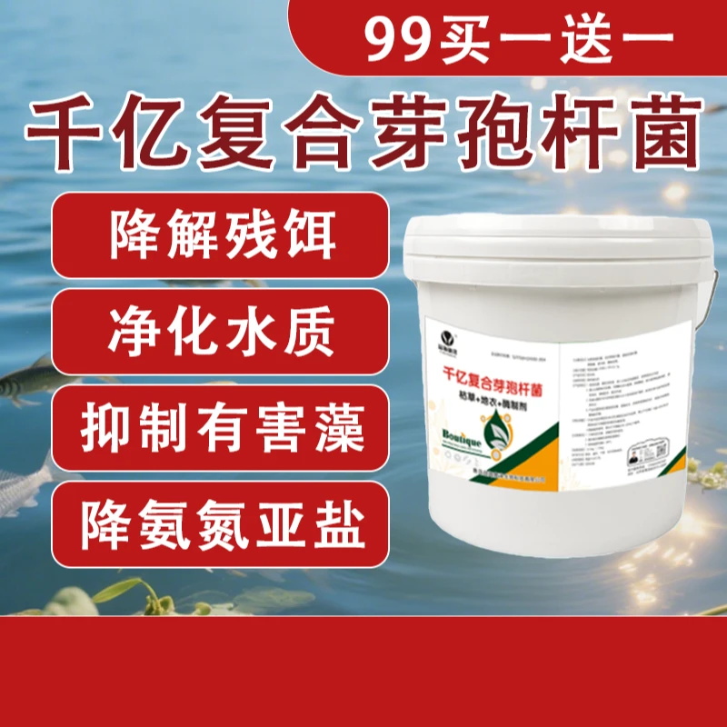 水产养殖益千亿枯草芽孢杆菌调水稳定净化氨氮亚盐有机质