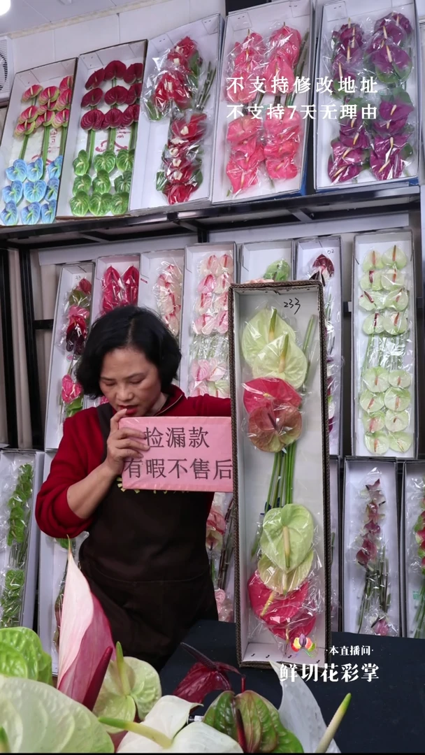 233混色8枝(长30-40cm横冠幅10-12cm)有瑕福利不退不换不售后