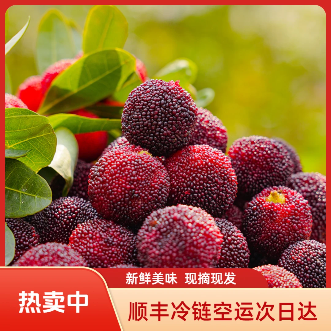 【顺丰次日达】新鲜杨梅1斤/2斤/3斤/4斤装福建省