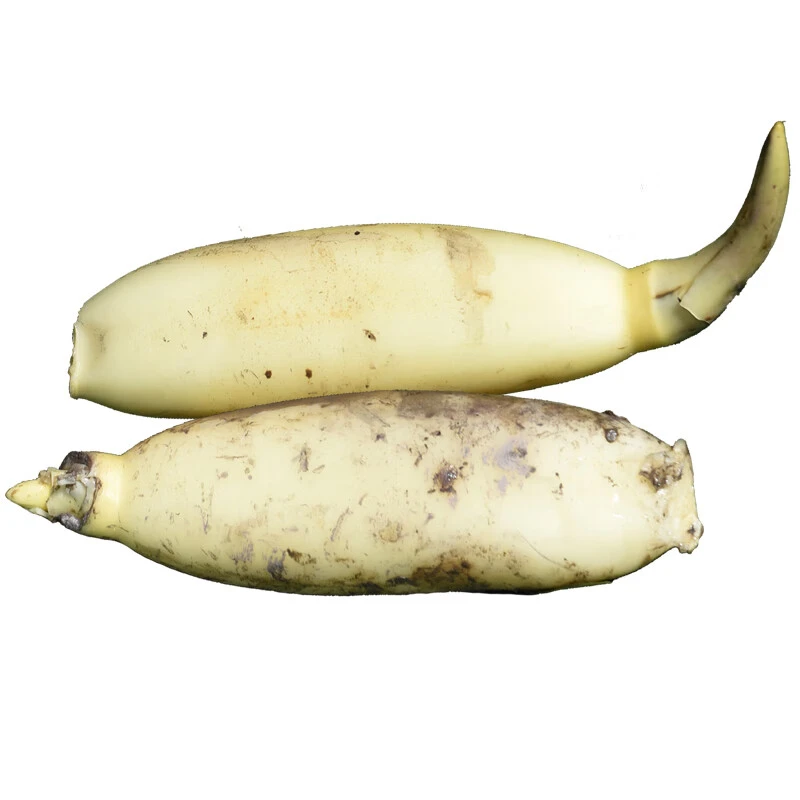 莲菜约500g±50g/份(图片仅供参考)