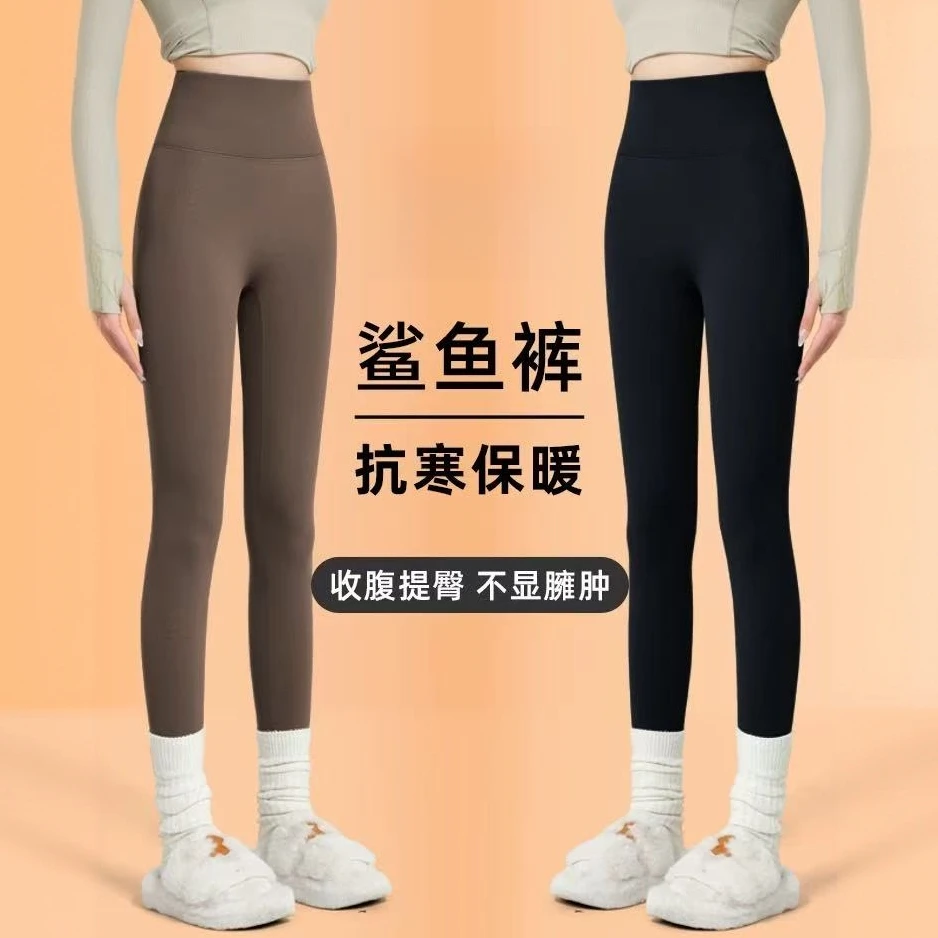 【季予3.0+星川小野pro合集】无尴尬线高暖绒鲨鱼裤-P156+8524