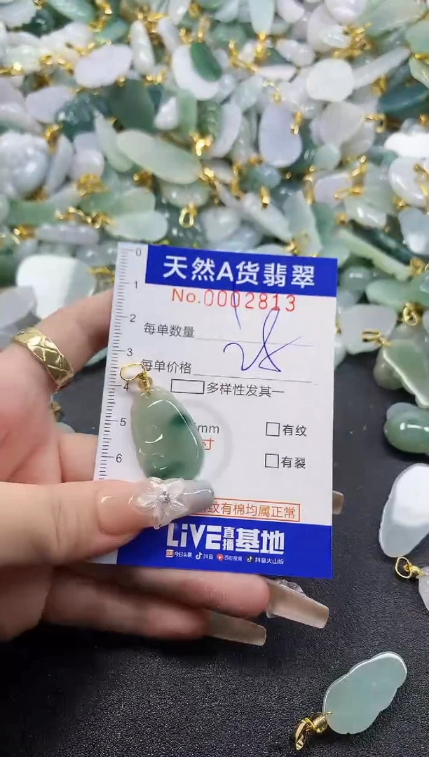 颈饰未镶嵌翡翠天然A货翡翠