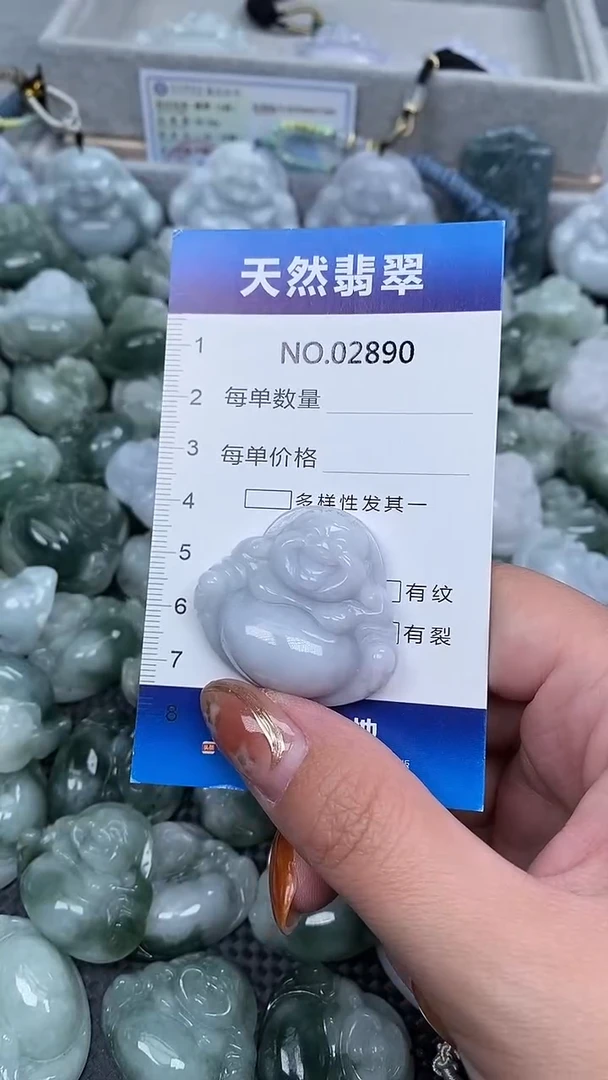 颈饰未镶嵌翡翠纯天然A货翡翠2890