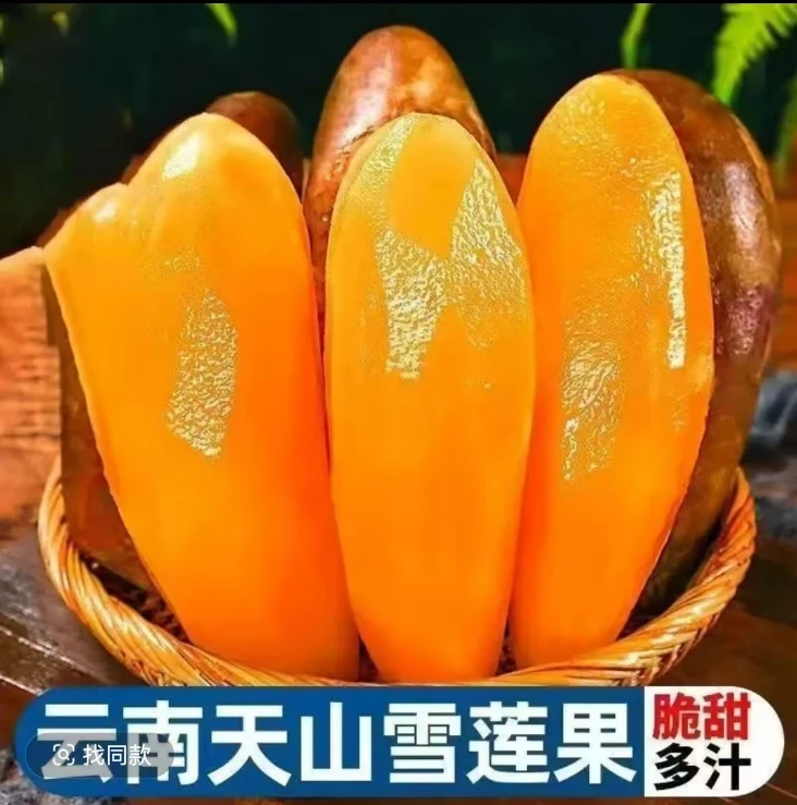 【现货速发】云南天山雪莲果脆甜新鲜水果应季水果清甜脆爽多汁黄心