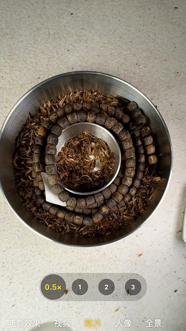 沉香手串奇楠汝湖沉水多圈手串15