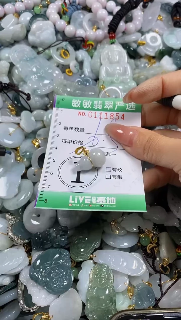 【闪购商品】翡翠颈饰未镶嵌闪购0111854多样性发其一