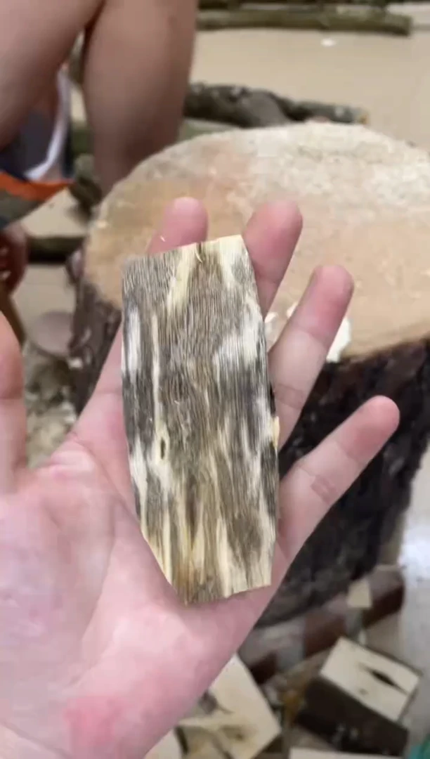 沉香沉香碎屑棋楠沉香 原料文创1