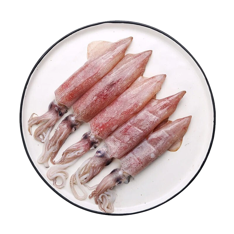 福建东山鲜一口小管鱿鱼白灼油焖鲜甜脆爽