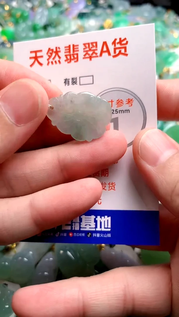 翡翠未镶嵌颈饰25100178