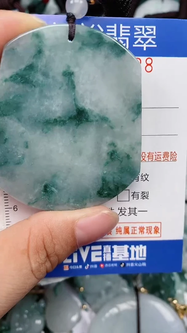 翡翠未镶嵌颈饰...0008328