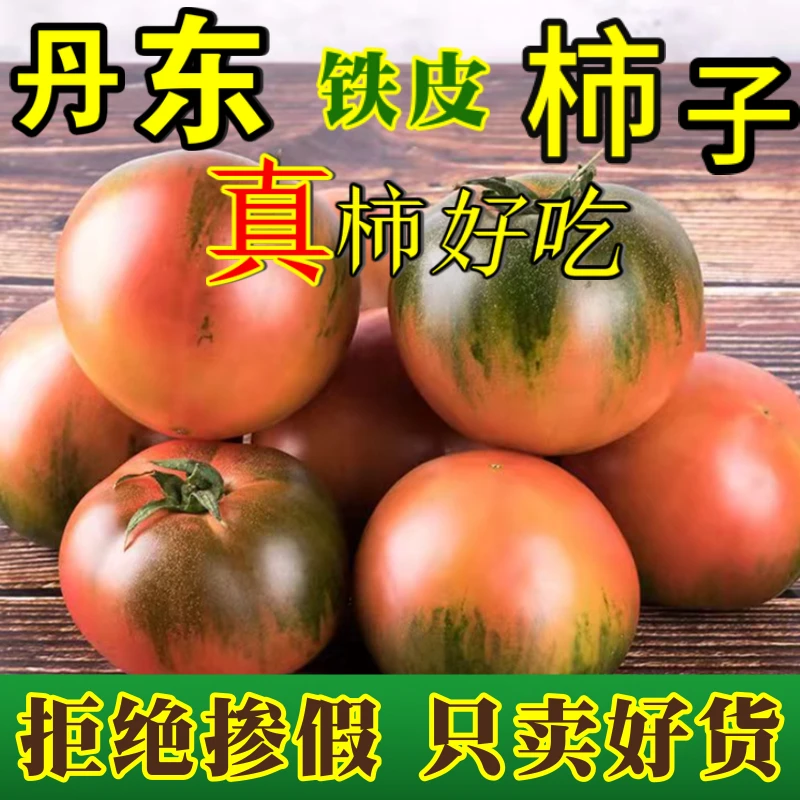 【五斤绿腚果】碱地柿子鹰爪柿子草莓柿子铁皮柿子果园直发【王小宝】