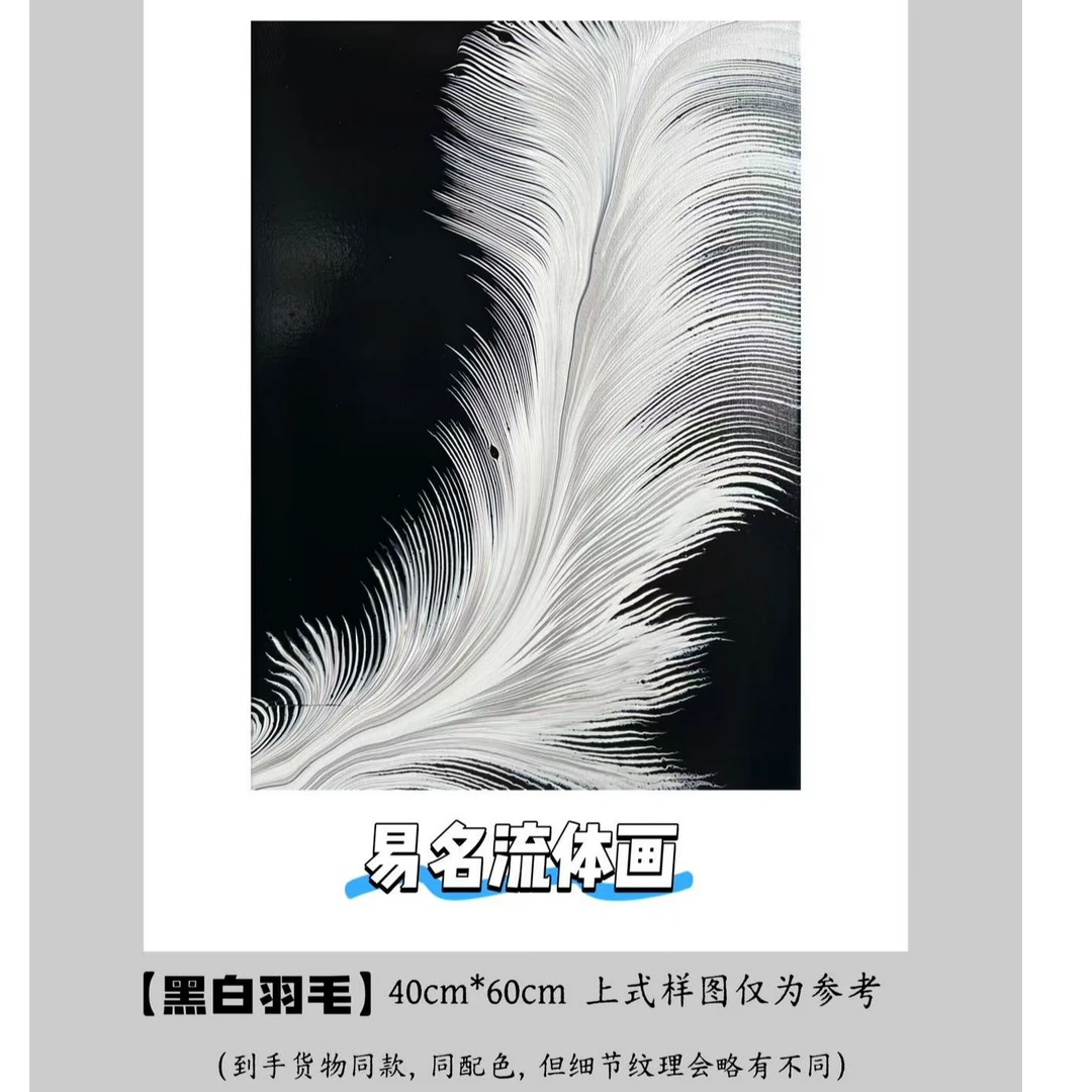 【黑白灰·羽毛】流体装饰画