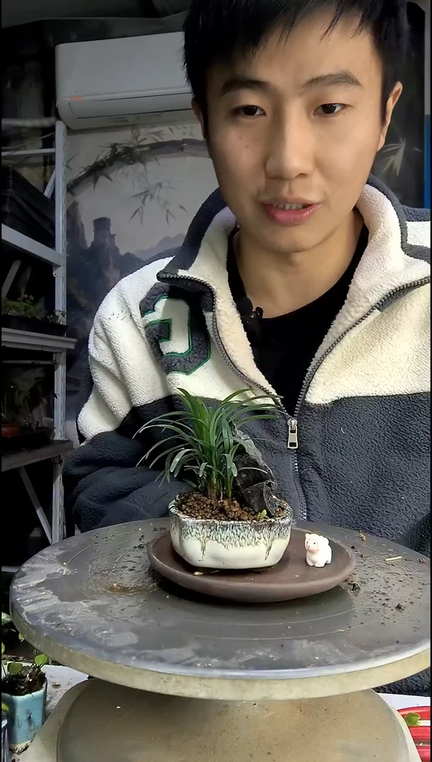 我***了中青园艺一物一拍407