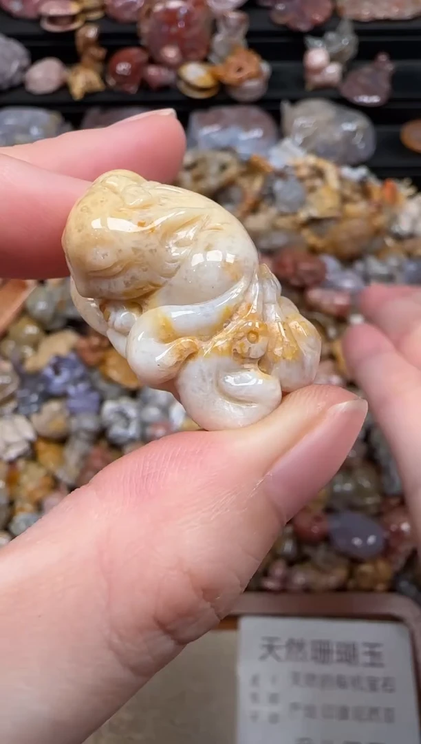 硅化珊瑚（珊瑚玉）未镶嵌颈饰434