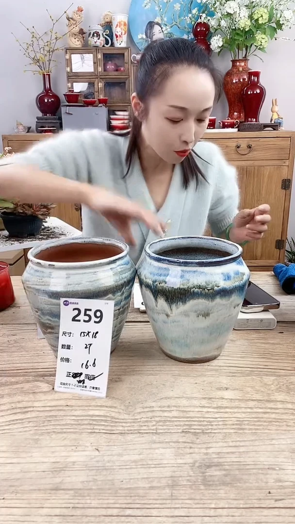 【闪购商品】红陶259