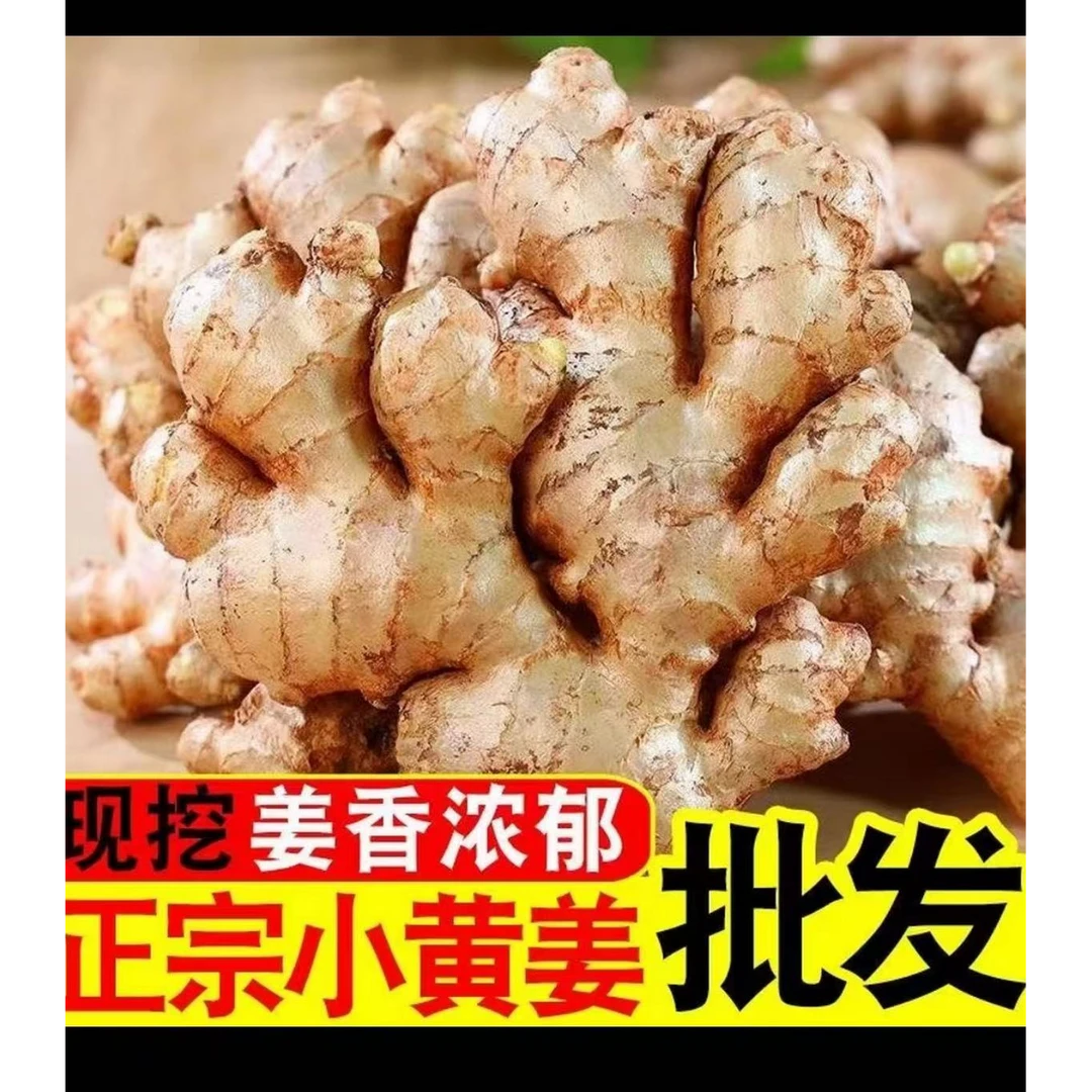 正中高山小黄姜老姜农家新鲜香嫩现挖现发带泥发货L