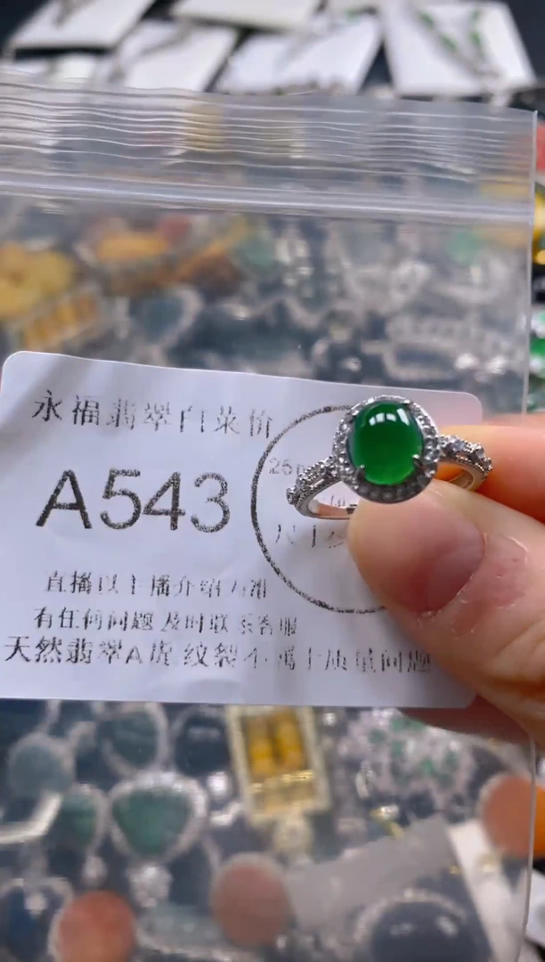 翡翠未镶嵌吊坠(不含链)543