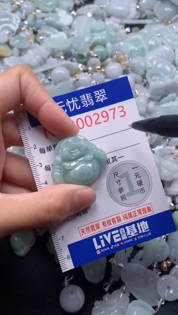 颈饰未镶嵌翡翠2973