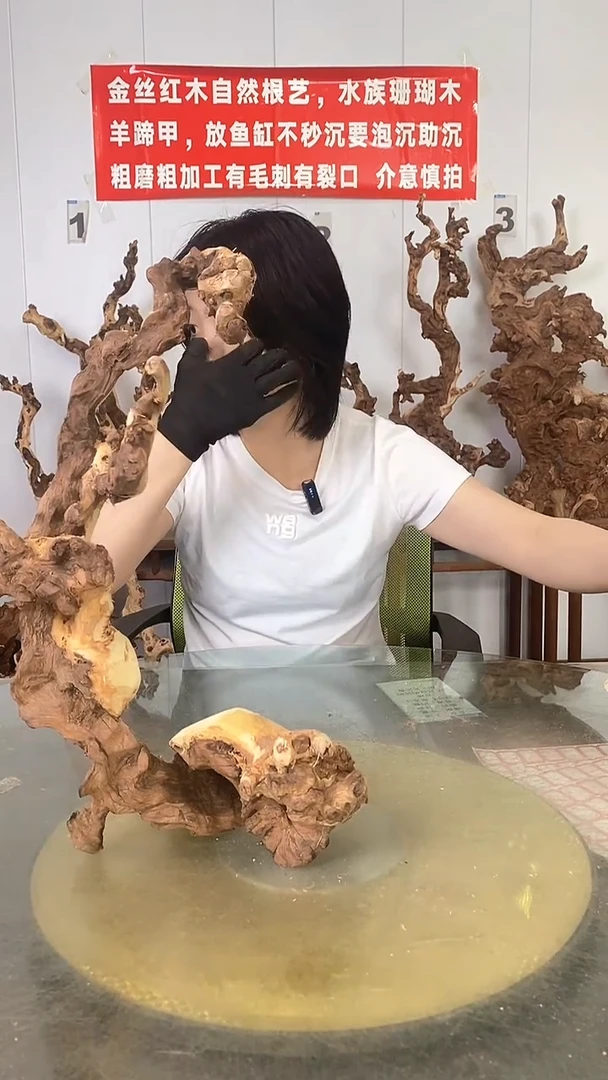 香榧木金丝红木 羊蹄甲