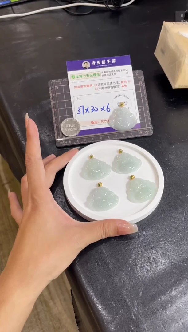 颈饰银S925镶嵌翡翠佛公配绳5/多样性发其一CP