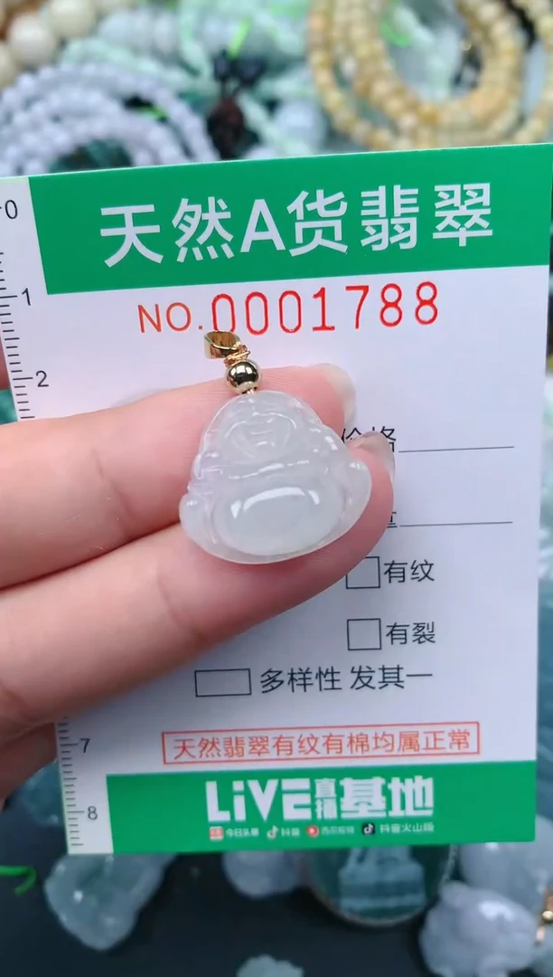 颈饰未镶嵌翡翠.0001788