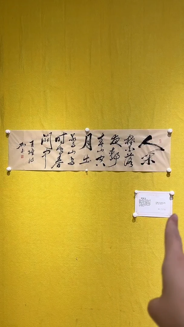 书法3何加玉老师 4平尺，鸟鸣涧