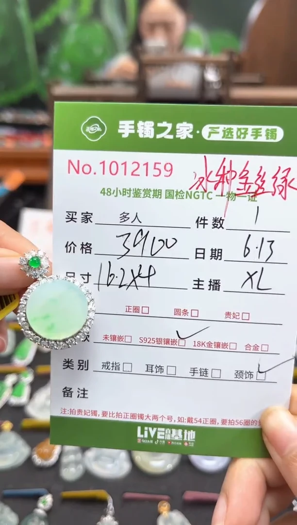 翡翠银S925镶嵌颈饰多人