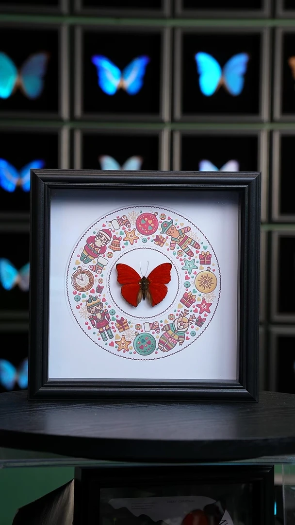 血漪蛱蝶圆形姜饼人8寸方框