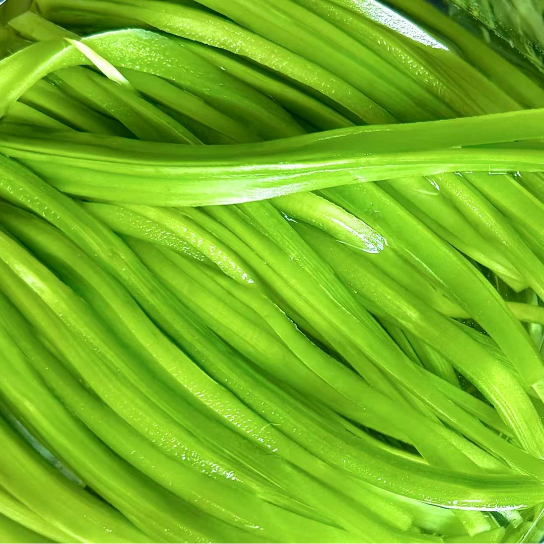 【包翠绿 无瑕疵】贡菜新货正宗脆嫩云南特产无叶响菜苔干菜农家