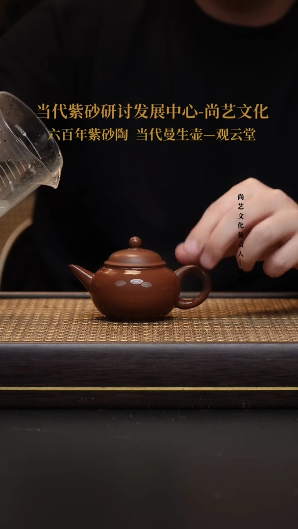 茶壶紫砂宜兴紫砂壶水平