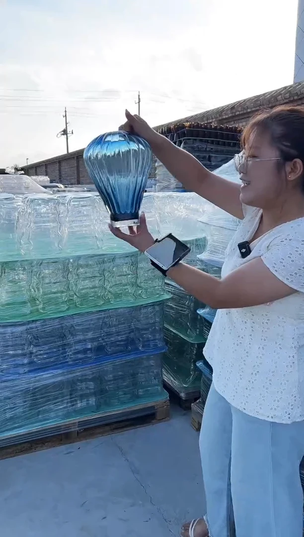 装饰家居的简约透明插花器