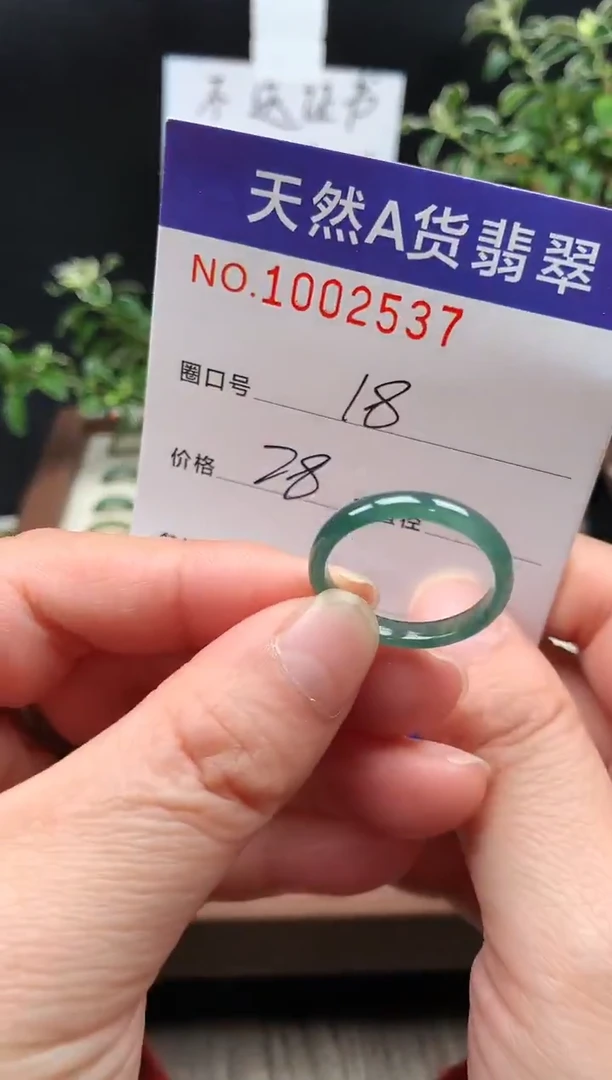 未镶嵌戒指翡翠18#