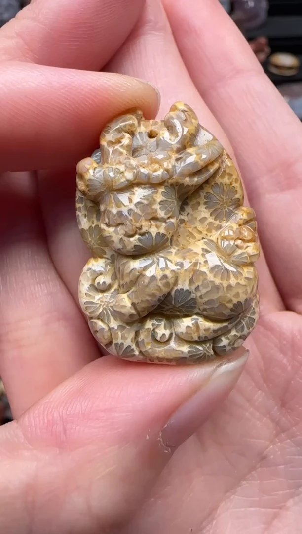 颈饰未镶嵌硅化珊瑚（珊瑚玉）864