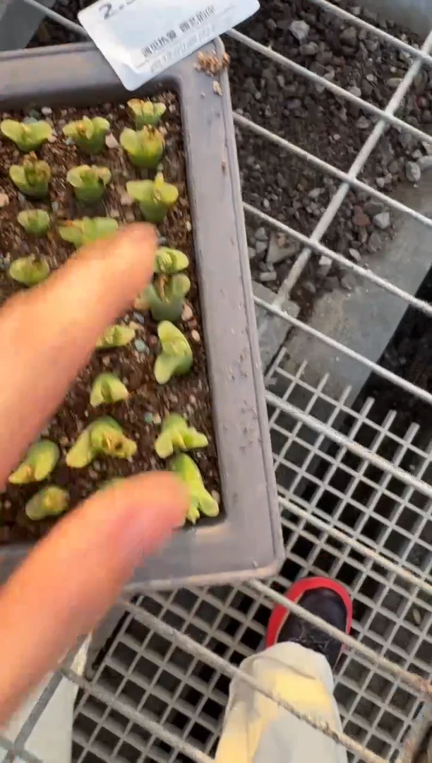 【闪购商品】3-108