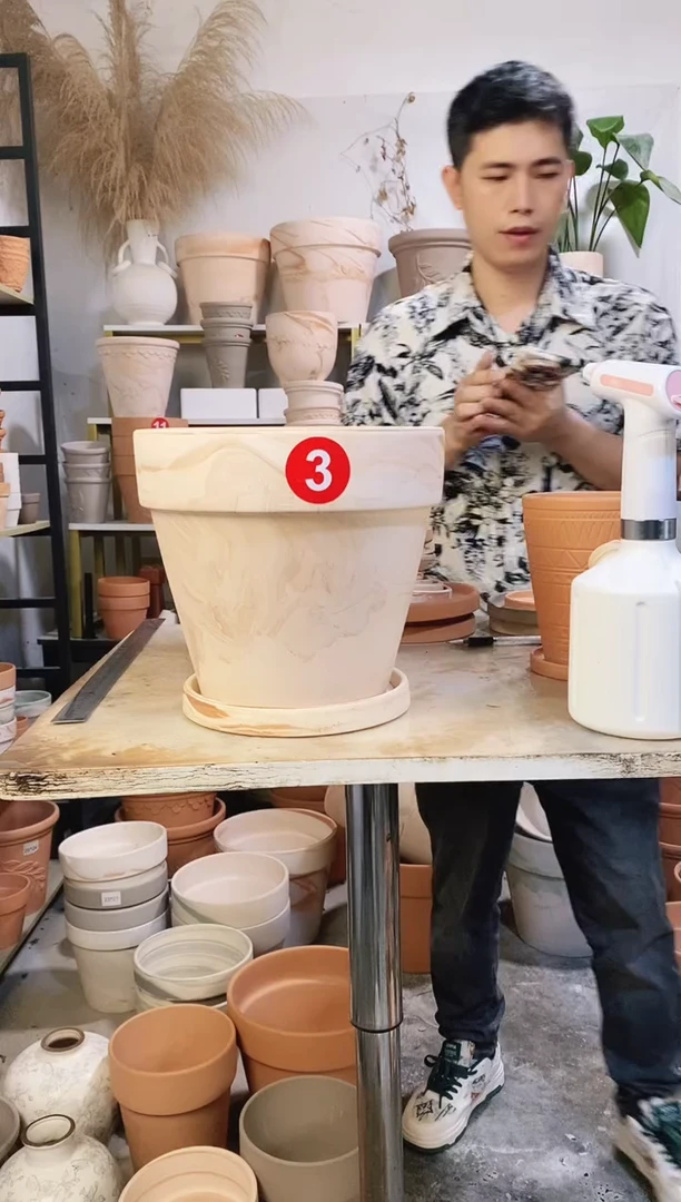 26*24玛奇朵 1盆1托