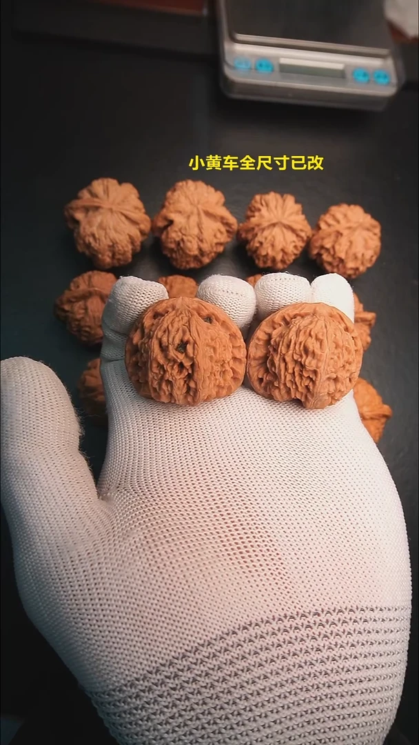 把件文玩核桃14号 39 白狮子