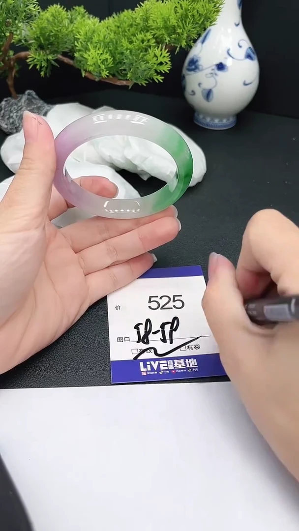 未镶嵌手镯翡翠525