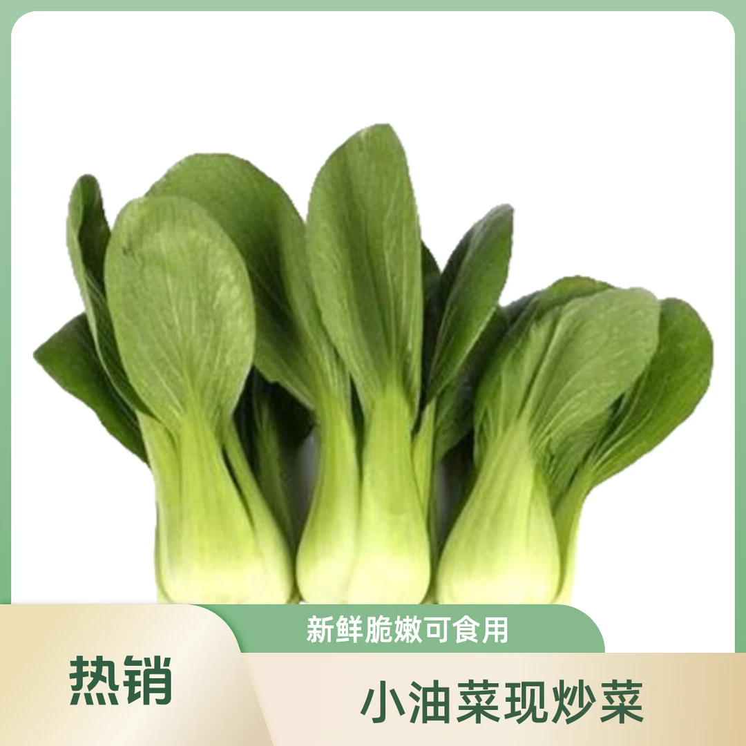 小油菜（小青仔）0.4斤-0.7斤/份绿色蔬菜