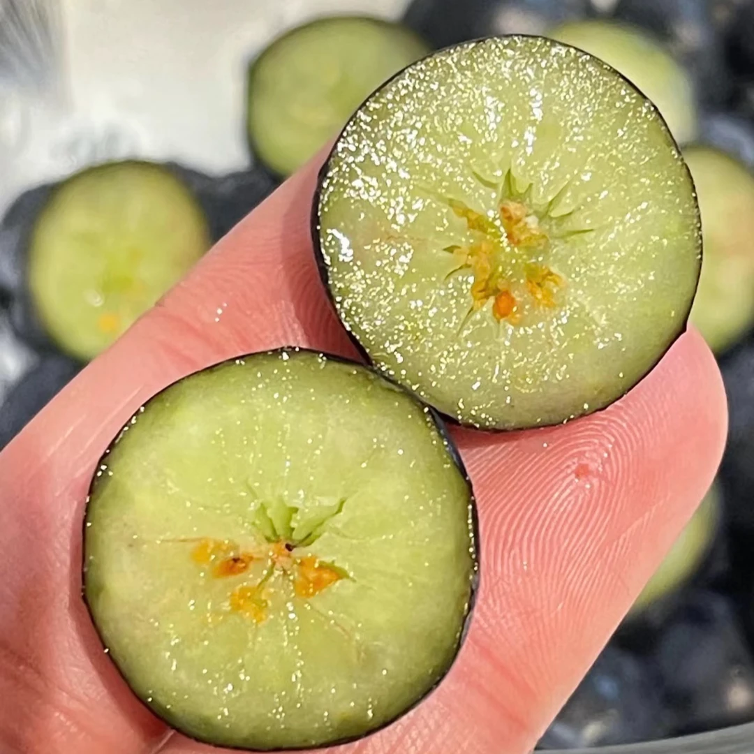 【官方补贴】丹东头茬蓝莓 15-25mm 毛重450g 京东顺丰包邮L25花香辽宁省大连市