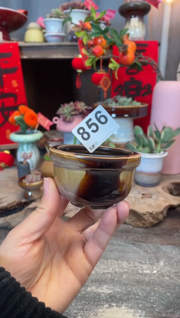 【闪购商品】摆件856知木小芳花盆