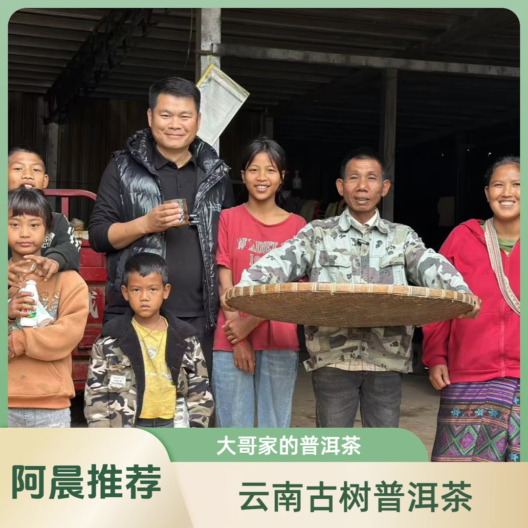【普洱老家阿晨优选】大哥寨子的普洱生茶 24年云南古树普洱生茶