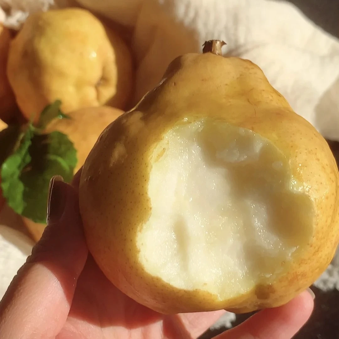 中华丑梨果肉细腻丝滑汤匙挖着吃的梨一箱净重4.5斤（8-9个）