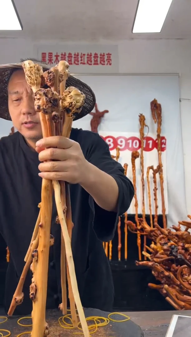 黑果木其他黑果木270