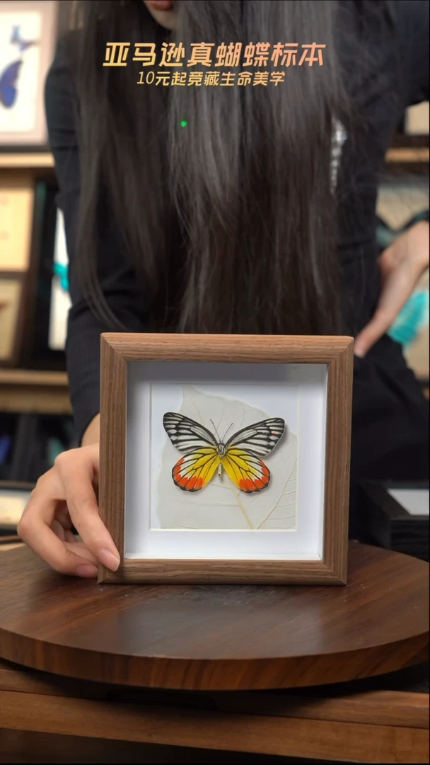 优越斑粉蝶叶子浮雕5寸方框