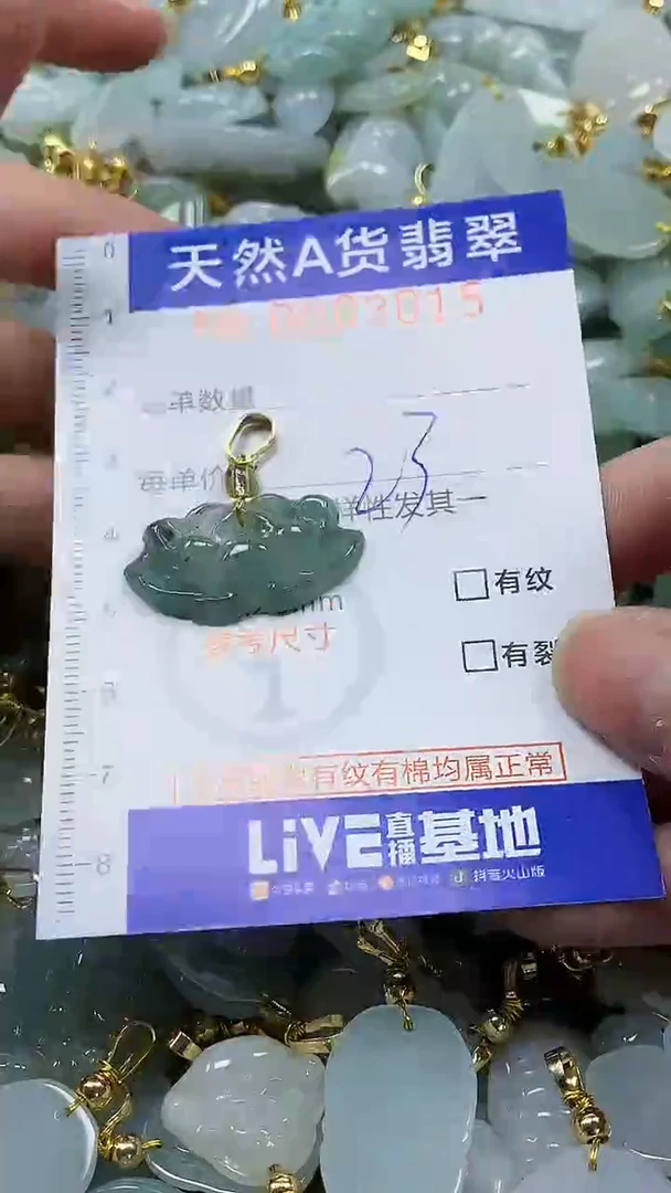 颈饰未镶嵌翡翠纯天然a货翡翠
