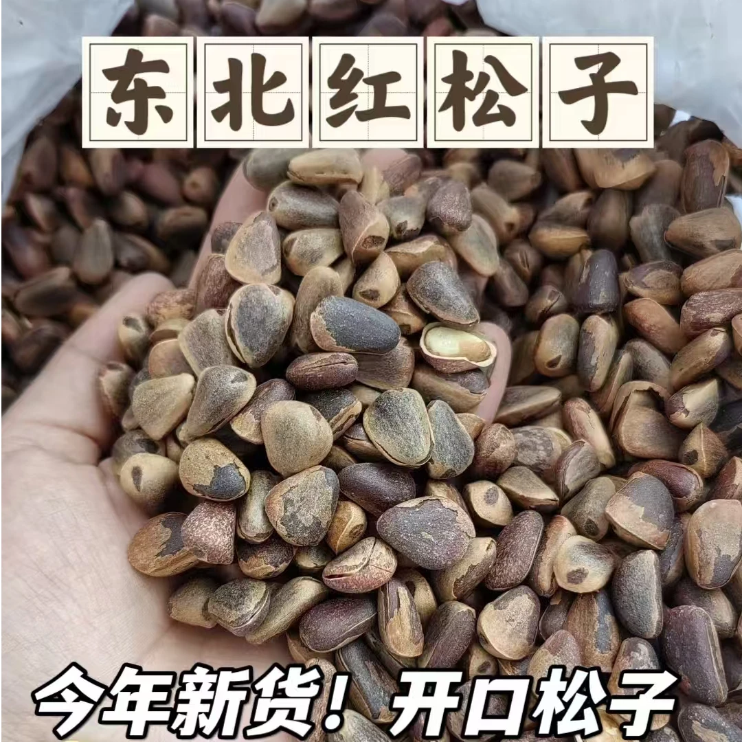 24年新货 800笨炒大颗粒东北红松松子 开口松子