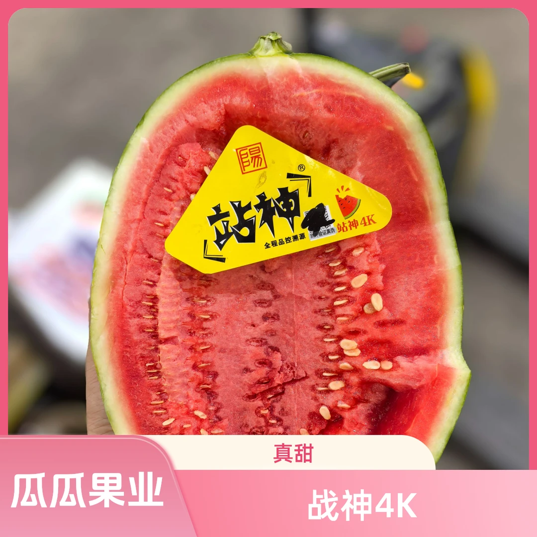 【瓜瓜果业】战神4K 8-9斤 一粒装 辽宁发货 顺丰包邮