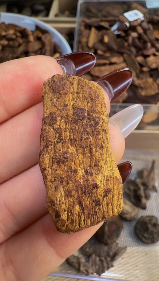 【闪购商品】沉香吊坠越南惠安红土